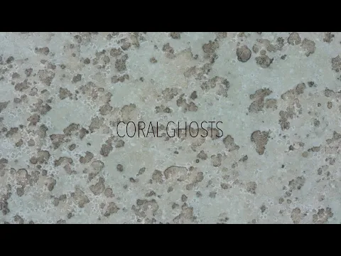 Coral Ghosts 2020
