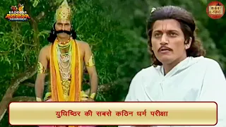 युधिष्ठिर की सबसे कठिन धर्म परीक्षा | युधिष्ठिर | महाभारत | भजन संग्रह