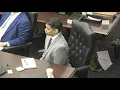 FULL Defense attorneys for Mario Fernandez-Saldana give opening statements in murder trial