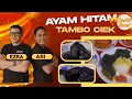 Lagu AYAM HITAM TAMBO CIEK