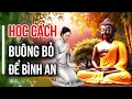 Lagu Học cách buông bỏ để sống bình a.n | Triết lý phật pháp trong đời sống hiện đại