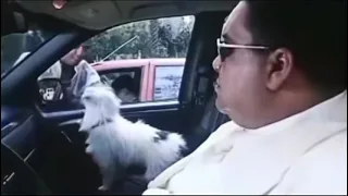 انا كينج الشغلانة  انا كينج الشغلانة