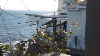 Landscapes of Maderia