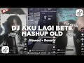Lagu DJ AKU LAGI BETE X MASHUP OLD STYLE CANDU (Slowed \u0026 Reverb)