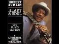 Bring Your Love To Me (feat. James Cotton) - Hubert Sumlin