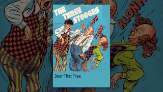 Download The new Three Stooges: Bear that Tree MP3