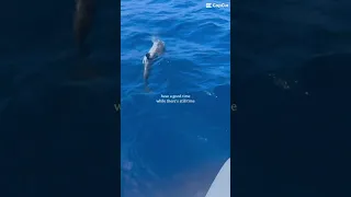 Learn To Sail Sailing Experiences