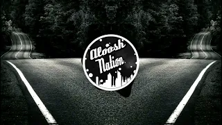 إليسا تصدق بمين ريمكس                            دندنها