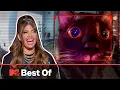 Download Lagu Ridiculousnessly Unforgettable Animals 🙊 SUPER COMPILATION | Ridiculousness