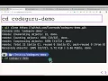 Amazon CodeGuru - Hands On Demo