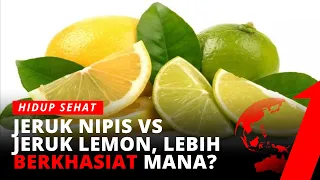 Download Jeruk Lemon vs Jeruk Nipis, Mana yang Lebih Berkhasiat | tvOne MP3