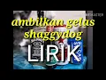 ambilkan gelas _shaggydog ft ndx(LIRIK)