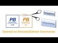 PowerBasic Snippets - Tutorial on Remain Extract commands