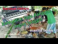 Download Lagu kumpulan dangdut,organ tunggal, pengiring,pesta hajatan