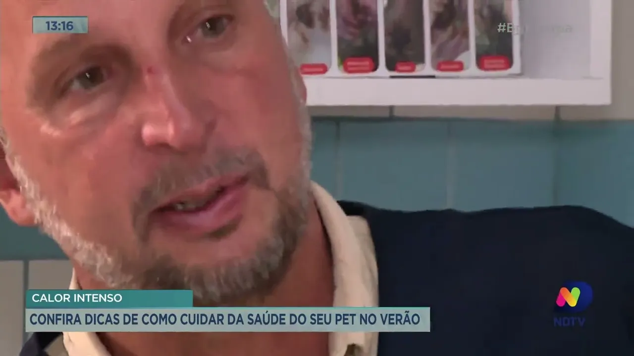 Confira os cuidados com os Pets durante o verão