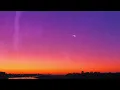 pupsies - misery. (Lyrics)