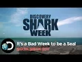 It s A Bad Week To Be A Seal Shark Week 2017