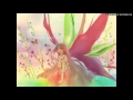 Lagu SMILE.dk - Butterfly (Delaction Remix) [Hime Trance Mix]