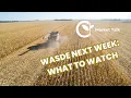 Corn Wheat Outlook Options Strategies