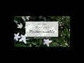 Playlist of Mademoiselle | Âm nhạc cho ngày bình yên