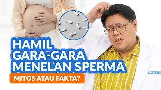 menelan sperma bisa bikin hamil mungkinkah