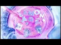 Download Lagu Internet Money – Lemonade ft. Don Toliver and Roddy Ricch