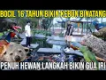 Lagu BOCIL 16 TAHUN BIKIN KEBUN BINATANG PENUH HEWAN LANGKA BIKIN GUA IRI, JASMINE PARK