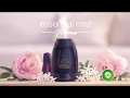 Lagu Nieuwe Airwick Essential Mist Aroma Gadget
