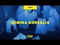 Lagu Lumina Borealis | an enchanted night walk where winter’s beauty shines