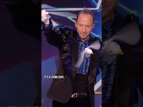 He made this 'real dove' appear from nowhere! 😉😂 #BGT #BritainsGotTalent