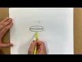 Drawing Rounded Forms Styrofoam Cup
