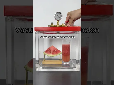 Vacuum vs Watermelon