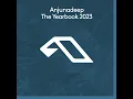 fireflies (for as far as we could see) (Mixed)