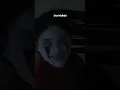 Don’t blink!