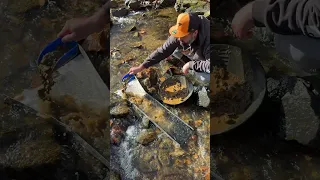 Sluice Gold Prospecting