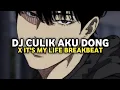 Download Lagu DJ Ayo Sayang Culik Aku Dong X It's My Life Breakbeat Aldy Thoxie Viral TikTok 2025