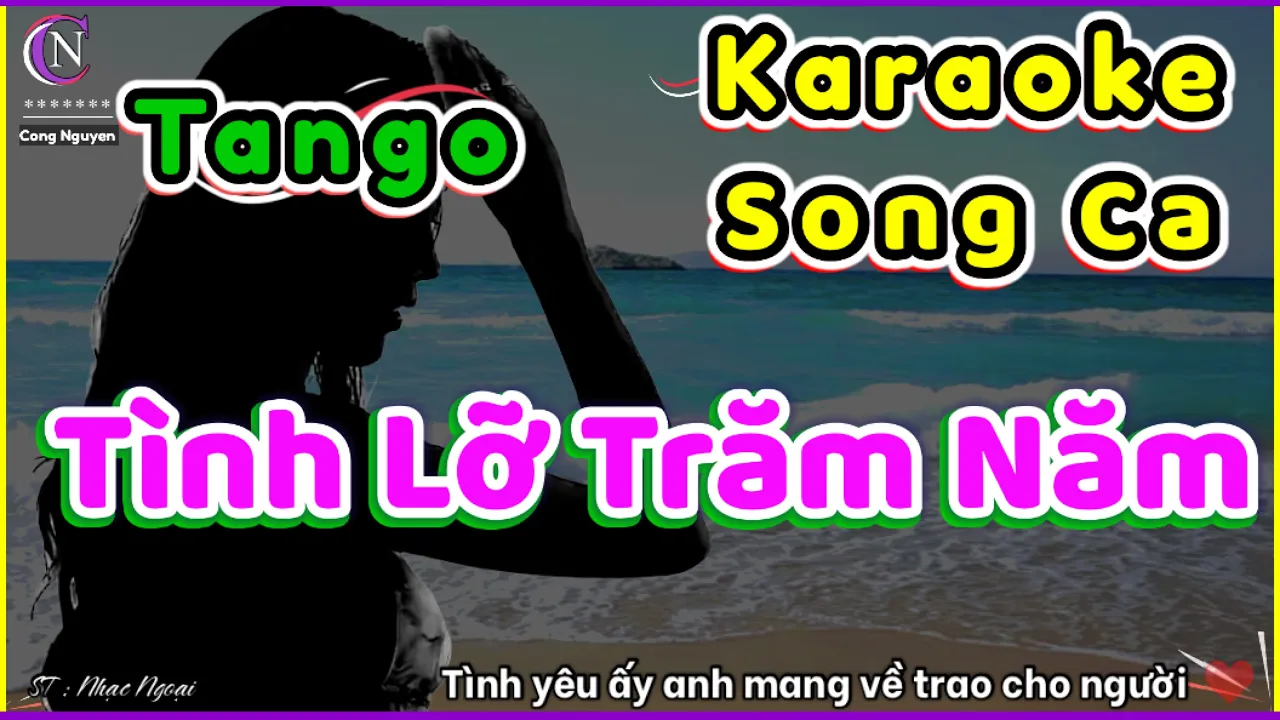 Karaoke | Tình Lỡ Trăm Năm | Song Ca