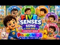Five Senses Song for Kids Learn the 5 Senses PoppyKids