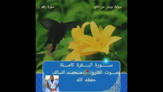 سورة البقرة كاملة بصوت القارئ محمد السالك حفظه الله تلاوه موريتانيه خاشعة 