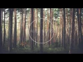 DJ Snake Ft. Bipolar Sunshine - Middle (Alex Ross Remix)