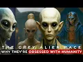 The Grey Alien Race Why This Alien Race is Obsessed With Humanity