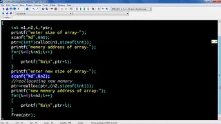 C Program using realloc