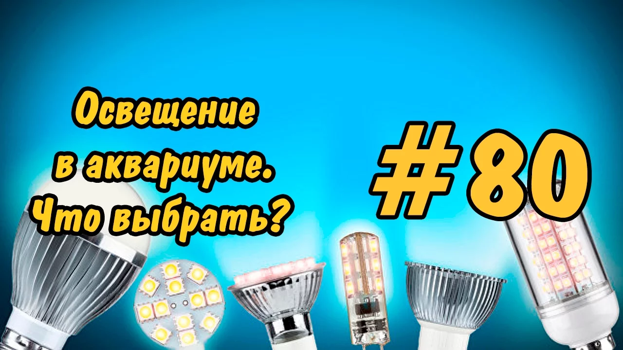 #80 ЛАМПЫ ДЛЯ АКВАРИУМА. Ч 2.Lighting in the aquarium. Lamp for aquarium. P 2.