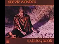 You Are The Sunshine Of My Life - Stevie Wonder