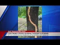 Tree struck by lightning during storm in Lufkin
