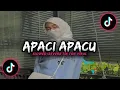 Download Lagu Dj Apaci Apacu - Slowed + Reverb🎧