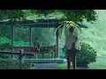 Download Lagu walk but in a garden - LLusion and Mxtoon Nightcore