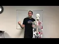 Release Shoulder Protocol - Temecula Murrieta Massage CA