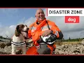 Springer spaniel trained to enter disaster zones SWNS TV
