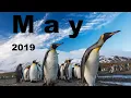 New Ambient Music 2019. Relax Mix. MAY